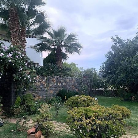 شقة Ammoudi Hideaway آغيوس نيكولاوس المظهر الخارجي الصورة