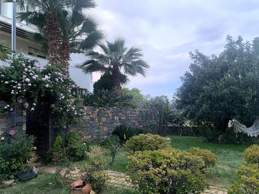 شقة Ammoudi Hideaway آغيوس نيكولاوس المظهر الخارجي الصورة